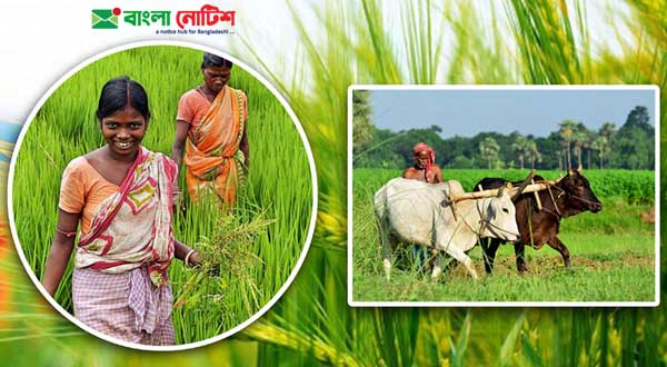 কৃষি বিষয়ক তথ্য - মাঠ ফসল ও উদ্যান ফসল - কৃষিজ যন্ত্রপাতি