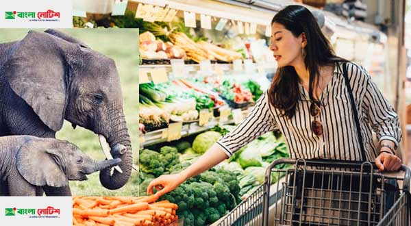 'Holding Hands' Title Justify - Grocery Shopping Experience Share