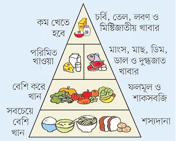 বিভিন্ন খাবারের উৎস, খাদ্য পিরামিড, স্বাস্থ্য রক্ষায় সহায়ক খাদ্য