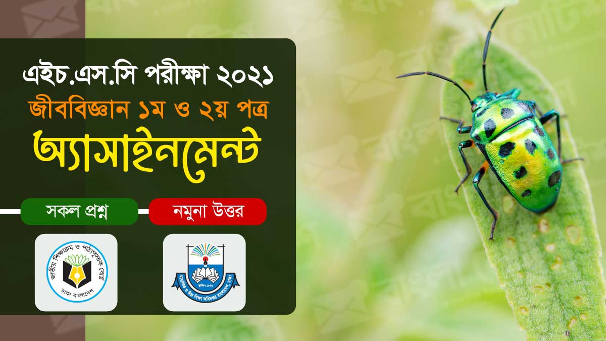 এইচএসসি ২০২১ জীব বিজ্ঞান ১ম ও ২য় পত্র সকল অ্যাসাইনমেন্ট ও সমাধান, assignment hsc 2021 biology, hsc assignment 2021 science pdf download, hsc biology assignment 2021 pdf download, hsc assignment 2021 biology answer, hsc assignment 2021 biology question, hsc assignment 2021 1st week pdf download, hsc assignment 2021 roshayon answer, hsc assignment 2021 1st week answer, hsc assignment 2021 science biology pdf download, hsc assignment 2021 pdf download, hsc assignment 2021 biology 1st Paper answer, hsc assignment 2021 question, hsc assignment 2021 biology 2nd Paper answer, hsc 2021 biology assignment solution, hsc 2021 biology assignment,