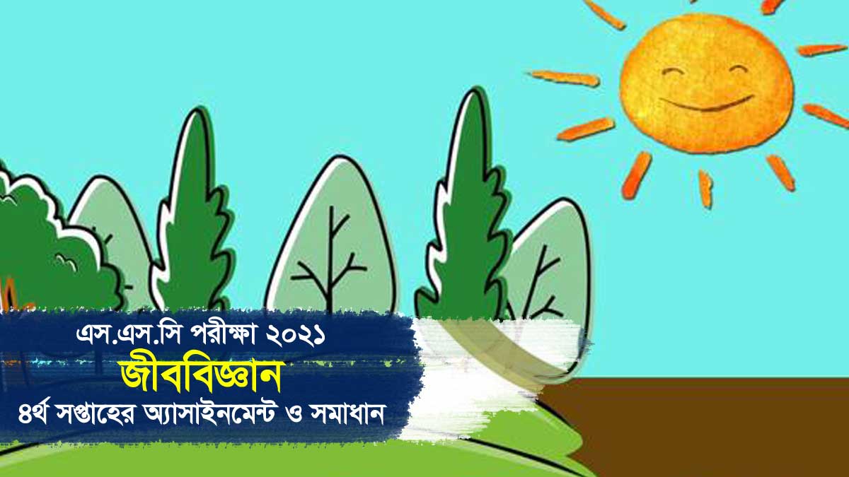 এসএসসি পরীক্ষা ২০২১ চতুর্থ সপ্তাহের জীব বিজ্ঞান অ্যাসাইনমেন্ট সমাধান ও উত্তর, সালােকসংশ্লেষণের ফলে অক্সিজেন নির্গমণের উপর বিভিন্ন প্রভাবকের প্রভাব নির্ণয়ের তুলনামূলক পরীক্ষণ ও ফলাফল ব্যাখ্যা করে সিদ্ধান্ত গ্রহণ