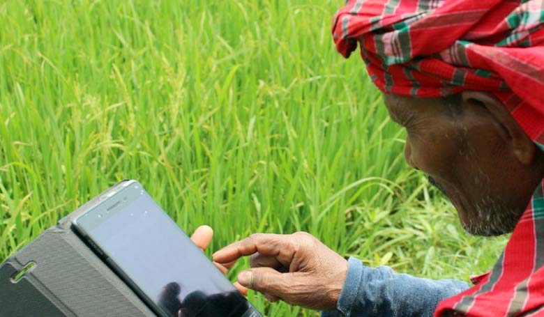 মাঠ ফসল ও উদ্যান ফসল উৎপাদনের জন্য প্রয়োজনীয় তথ্য ও সেবা